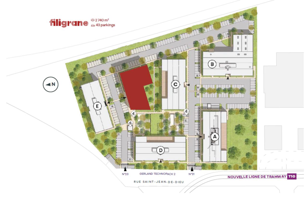 Location bureau Lyon Rhône OLBUR2110052 5