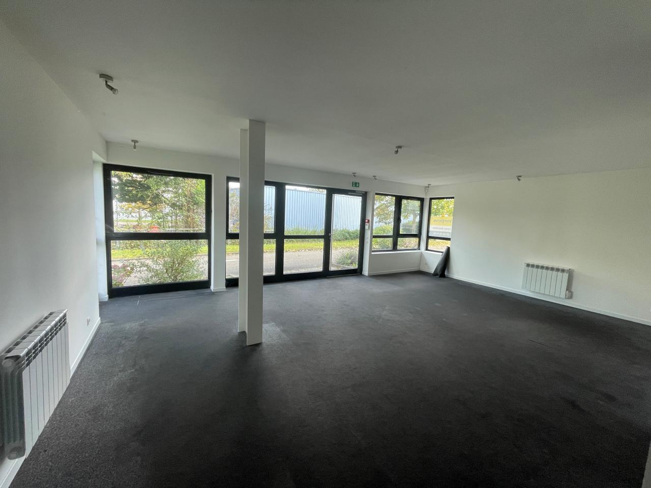 Location local d'activité Geispolsheim Bas-Rhin OLACT2310337 2