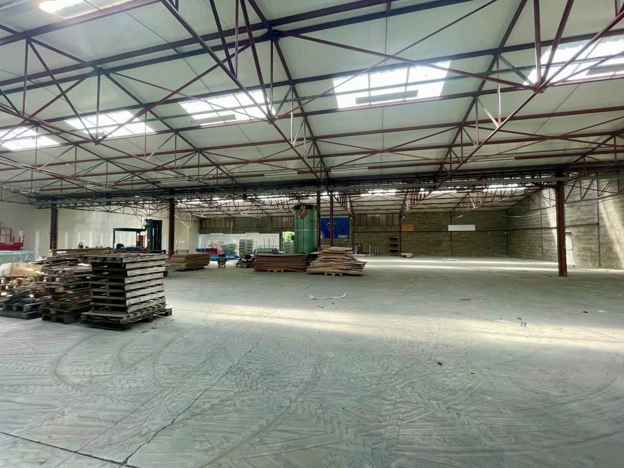 Location local d'activité Mundolsheim Bas-Rhin OLACT2424803 6