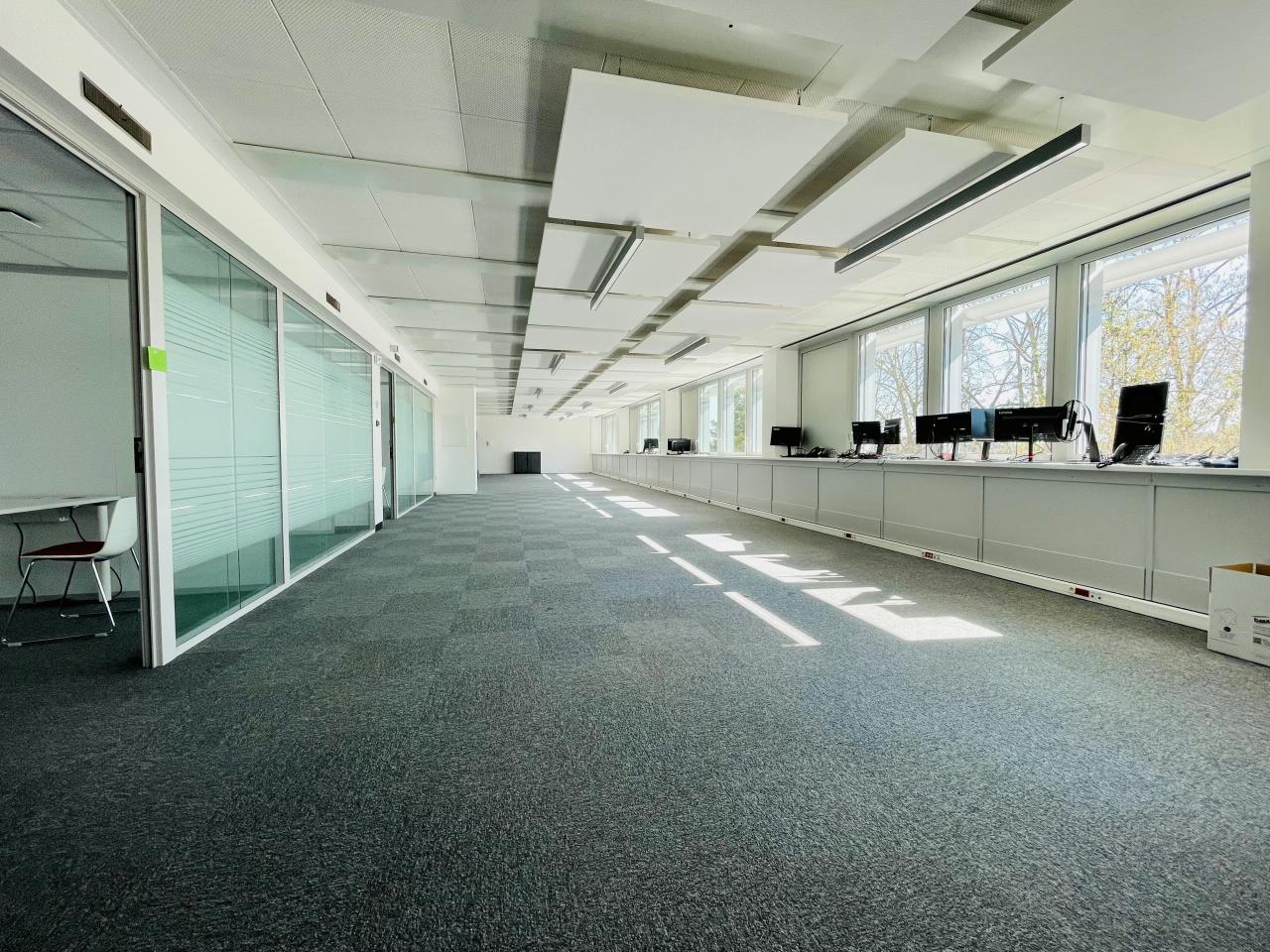 Location bureau Strasbourg Bas-Rhin OLBUR2310518 31