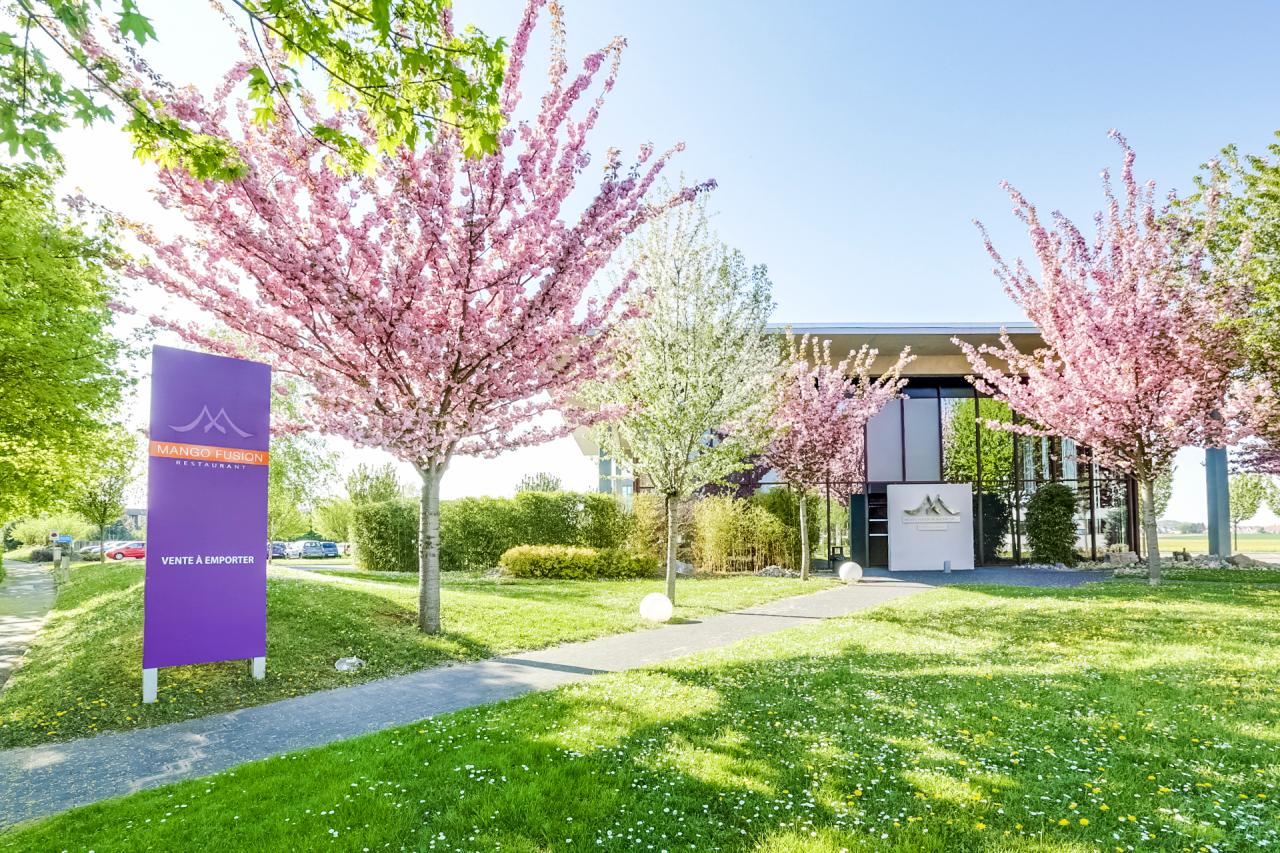 Vente local d'activité Schiltigheim Bas-Rhin OVACT2640904 8