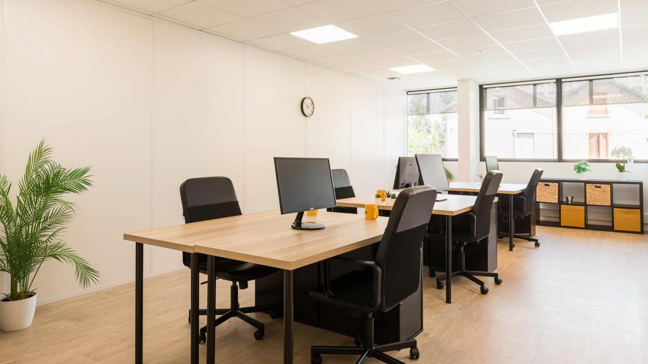 Location local d'activité Villeurbanne Rhône OLACT2109416 10