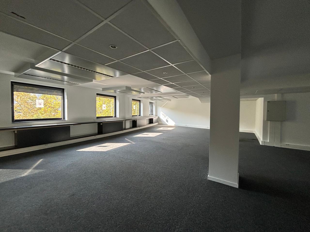 Location bureau Lyon Rhône OLBUR2536455 12