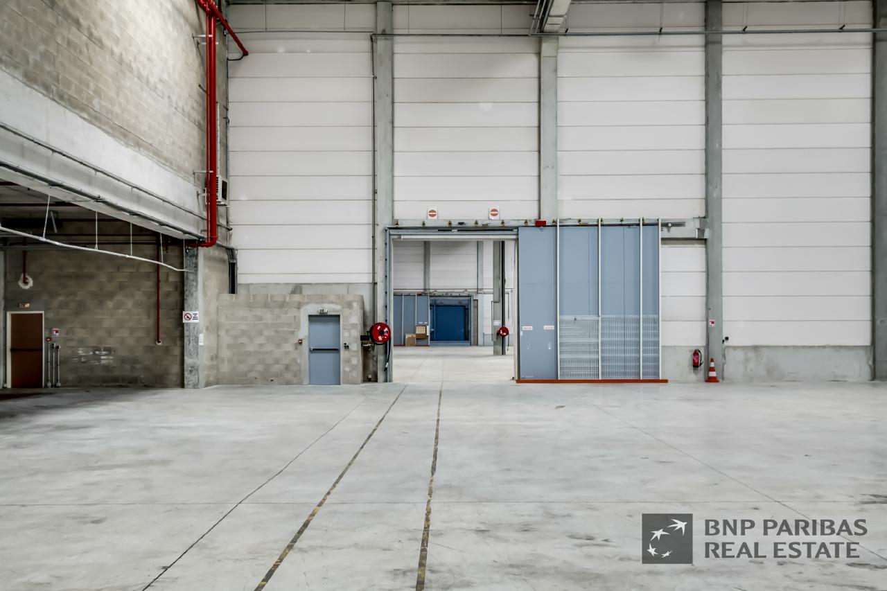 Location local d'activité Combs-la-Ville Seine-et-Marne OLACT2425676 4