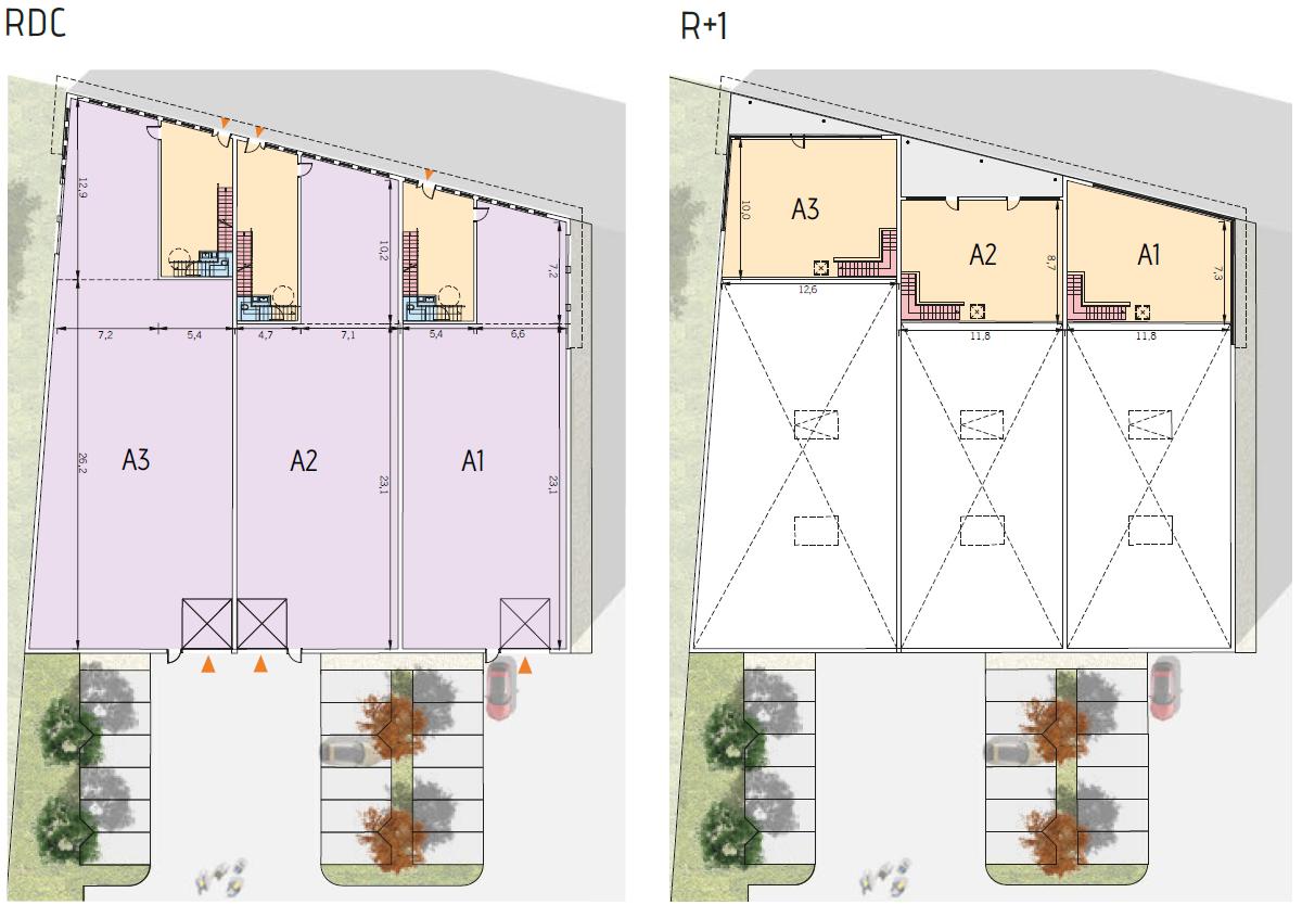 Location local d'activité Neuville-sur-Oise Val-d'Oise OLACT2315426 13