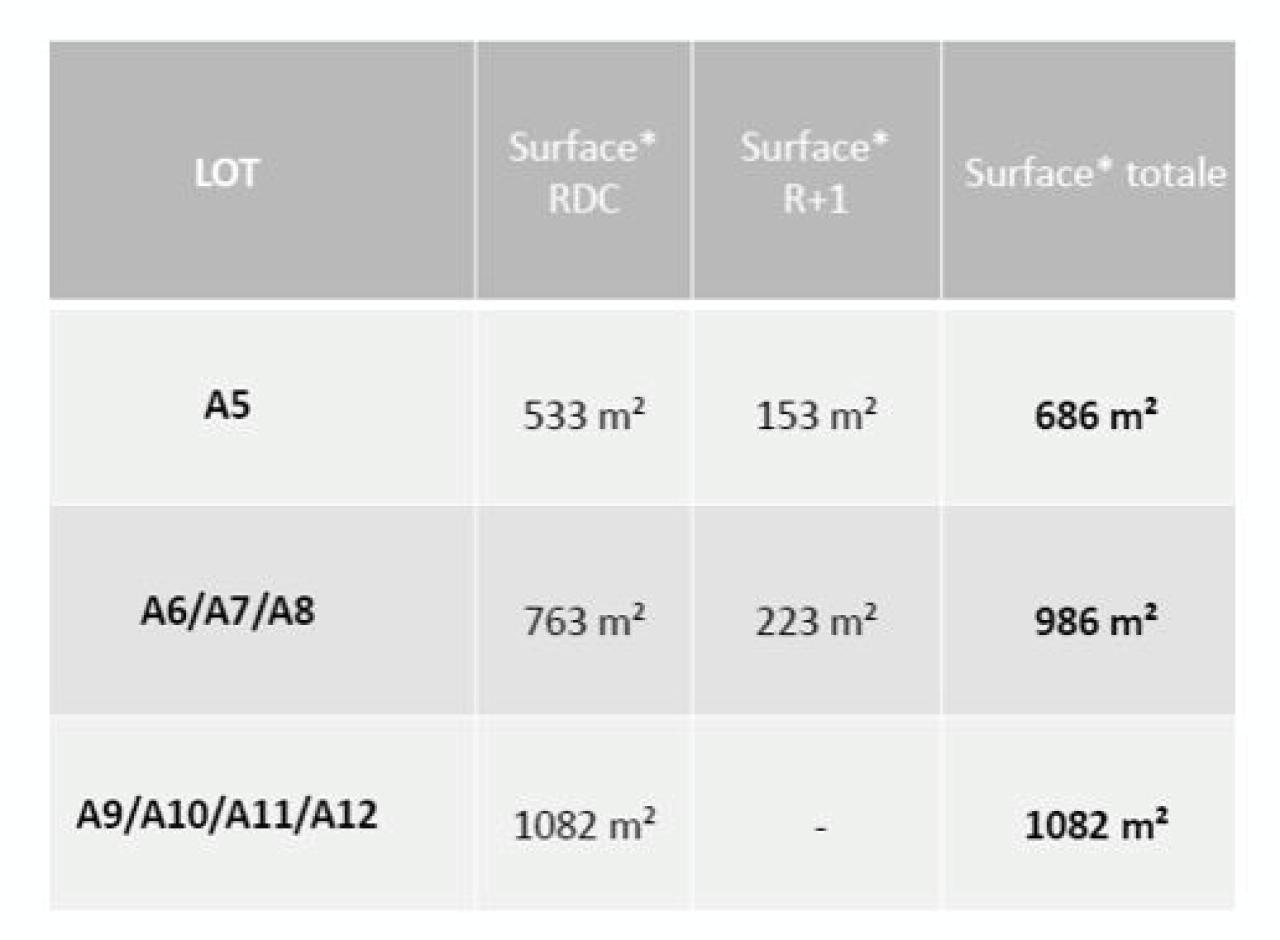Vente local d'activité Wattrelos Nord OVACT2114405 10