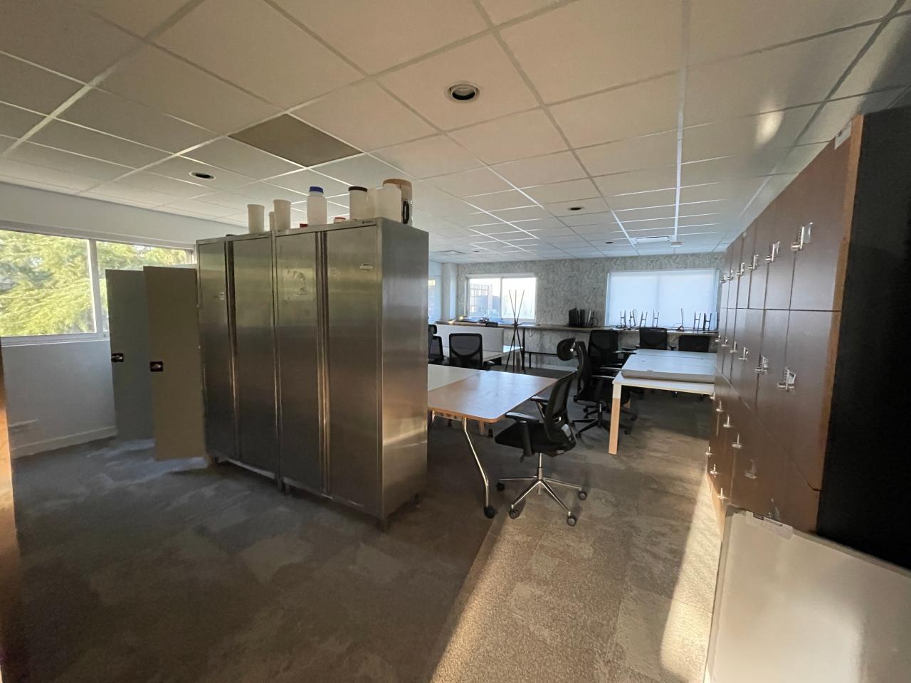 Location local d'activité Villebon-sur-Yvette Essonne OLACT2644917 17