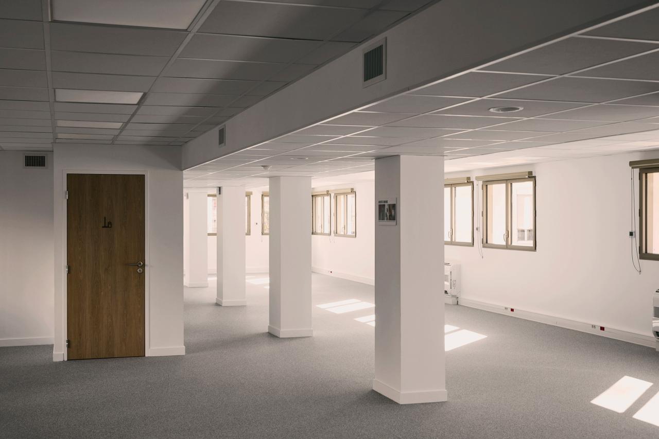 Location bureau Lyon Rhône OLBUR2536634 11