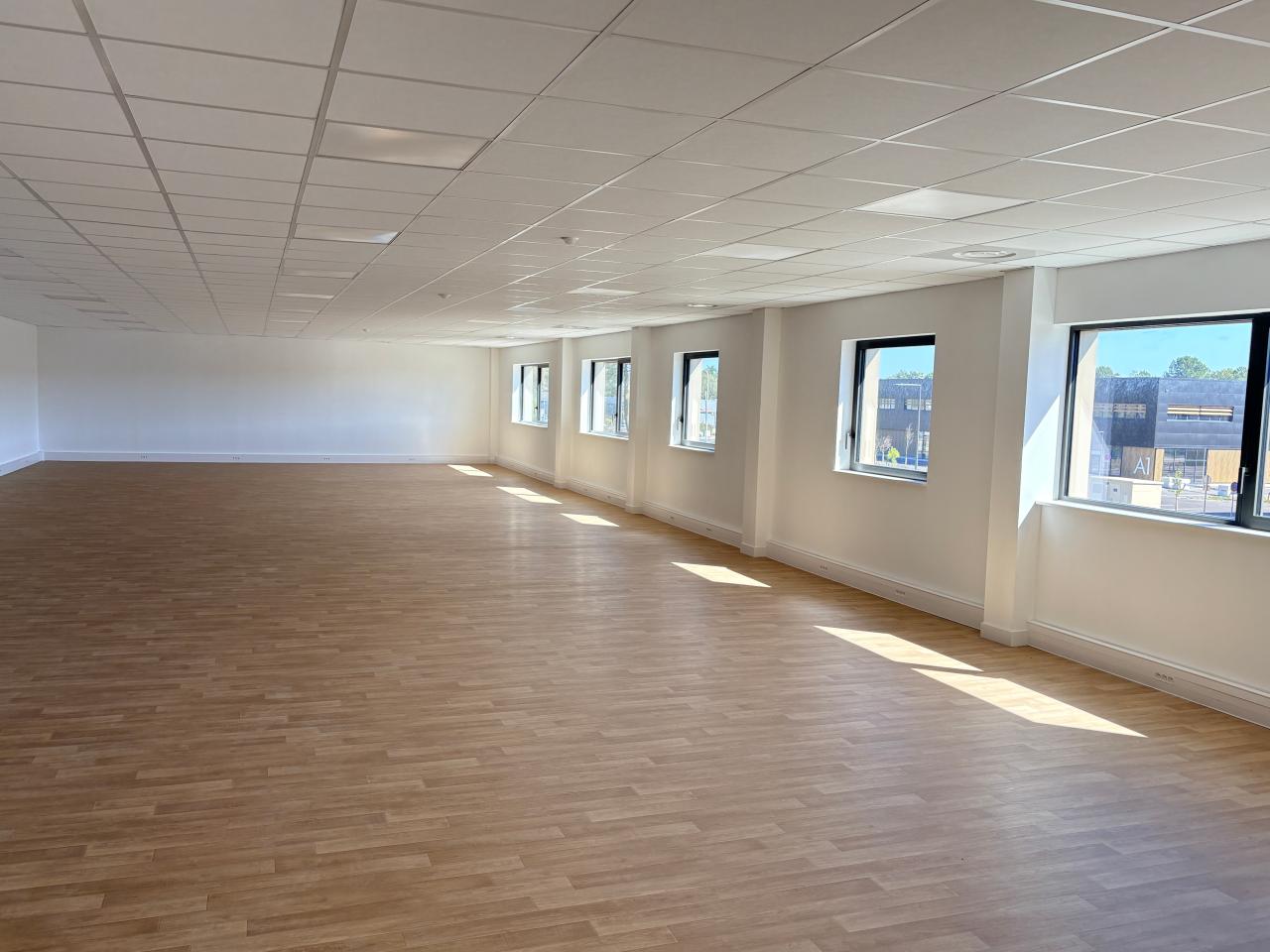 Location local d'activité Le Haillan Gironde OLACT2531232 4
