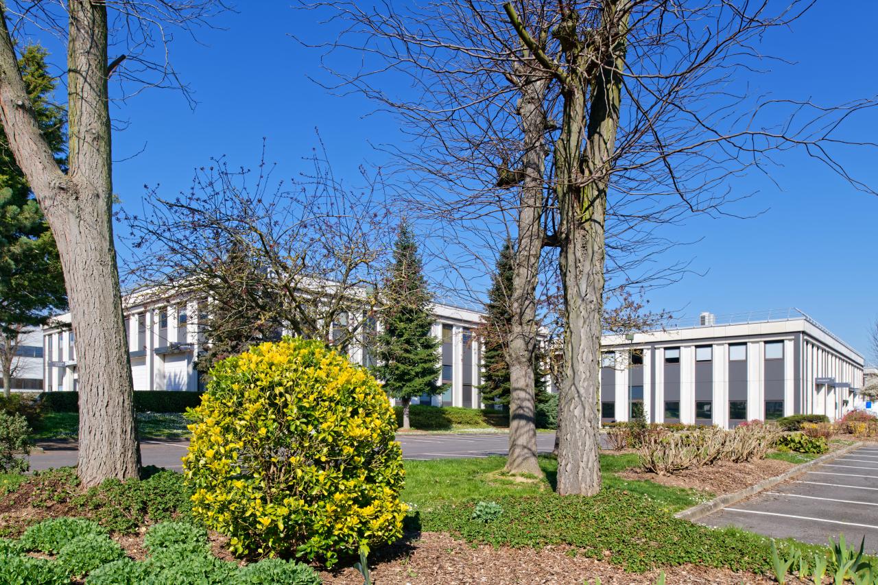 Location local d'activité Cergy Val-d'Oise OLACT2315713