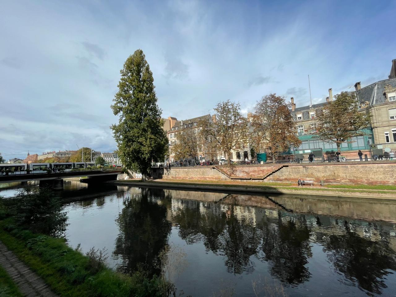 Location bureau Strasbourg Bas-Rhin OLBUR2423226 19