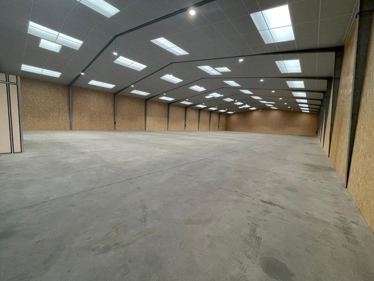Location local d'activité Betton Ille-et-Vilaine OLACT2533327 8
