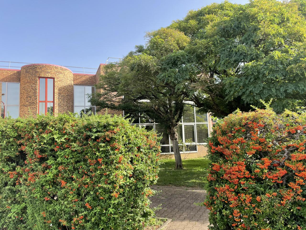 Vente local d'activité Plessis-Bouchard Val-d'Oise OVACT2315051 15