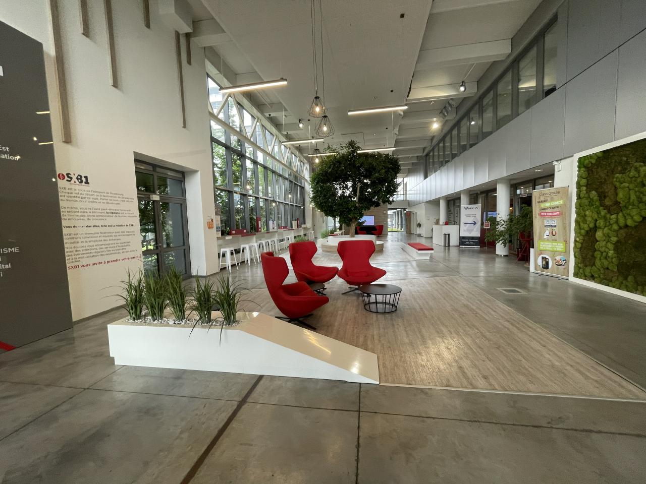 Location bureau Schiltigheim Bas-Rhin OLBUR2203532 3