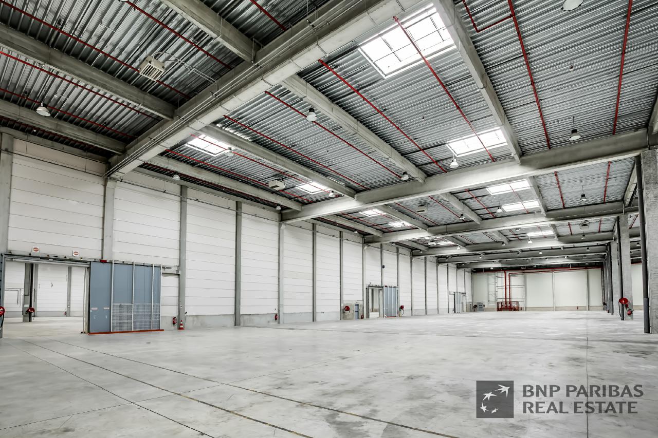 Location local d'activité Combs-la-Ville Seine-et-Marne OLACT2425676 5