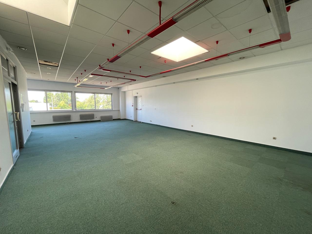 Vente entrepôt Illkirch-Graffenstaden Bas-Rhin OVLOG2537753 10