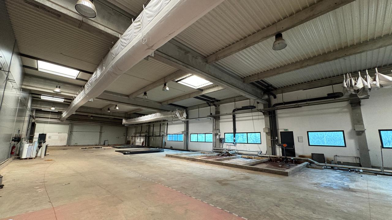 Location local d'activité Sonzay Indre-et-Loire OLACT2642387 8