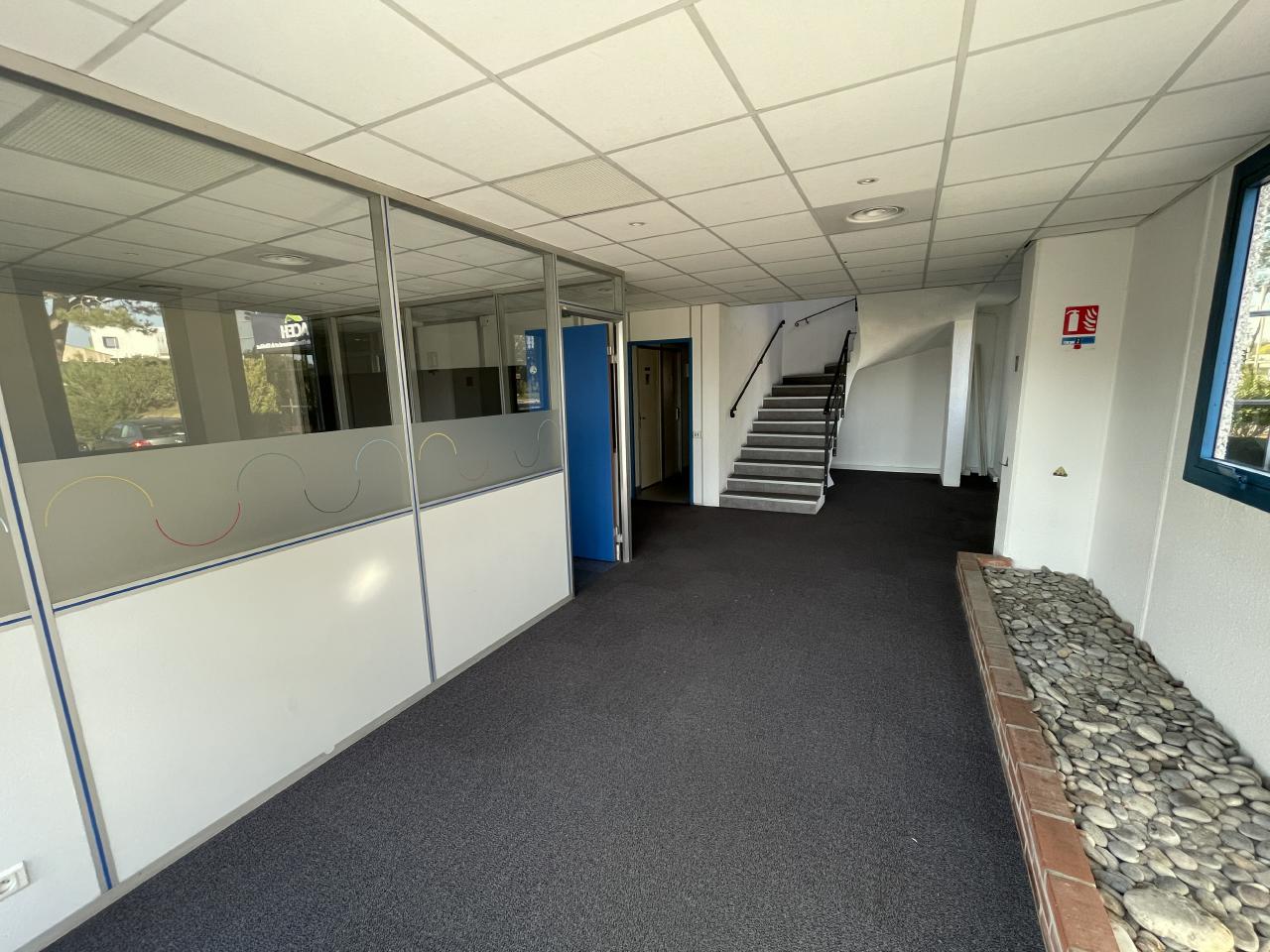 Location local d'activité Antibes Alpes-Maritimes OLACT2314472 12