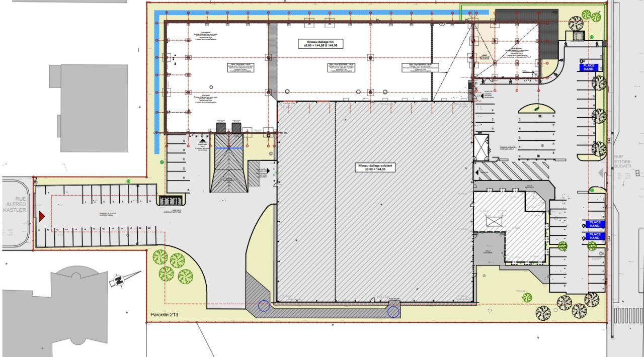 Location local d'activité Eckbolsheim Bas-Rhin OLACT2529537 6