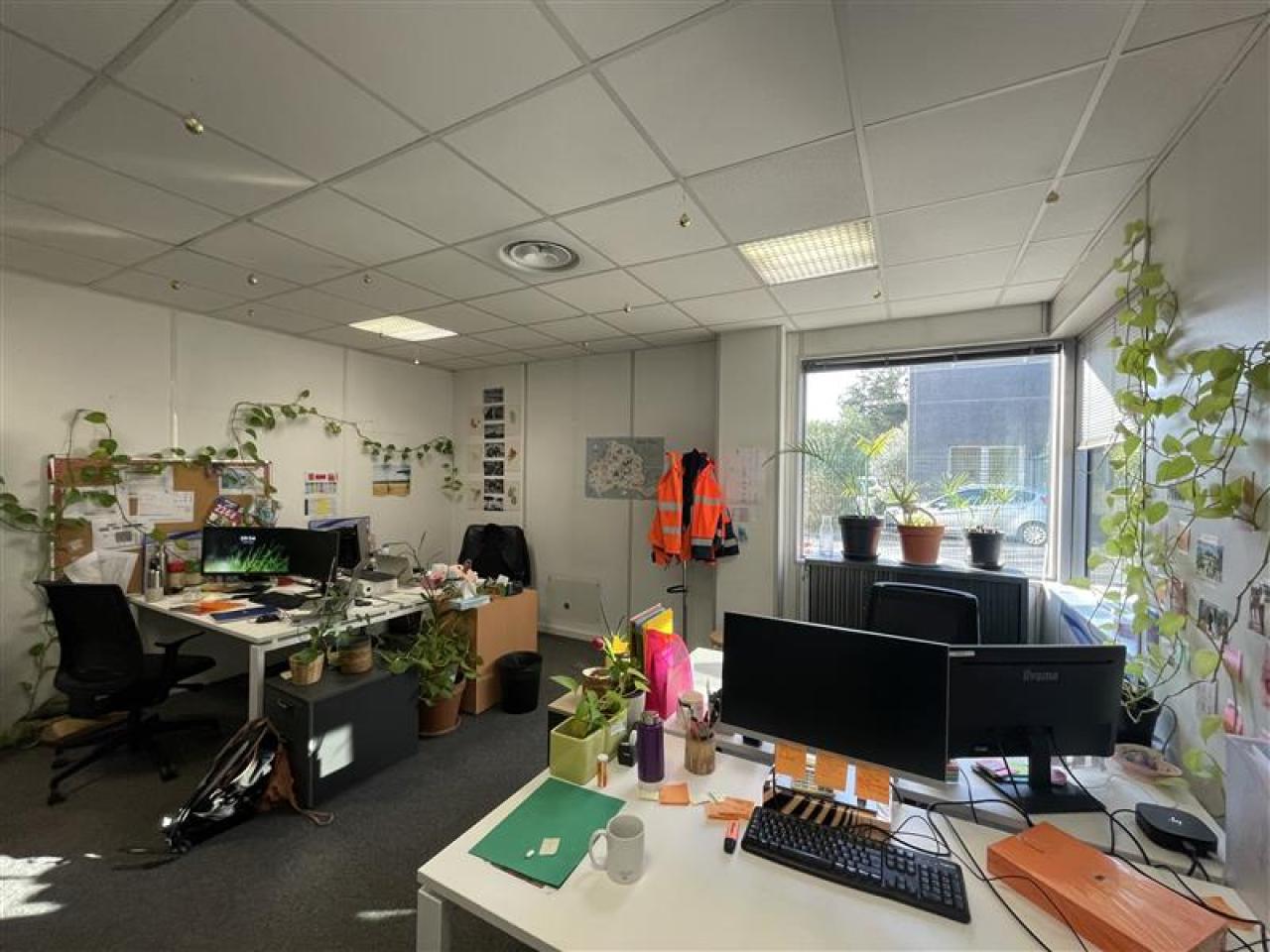 Location bureau Montpellier Hérault OLBUR2425991 25