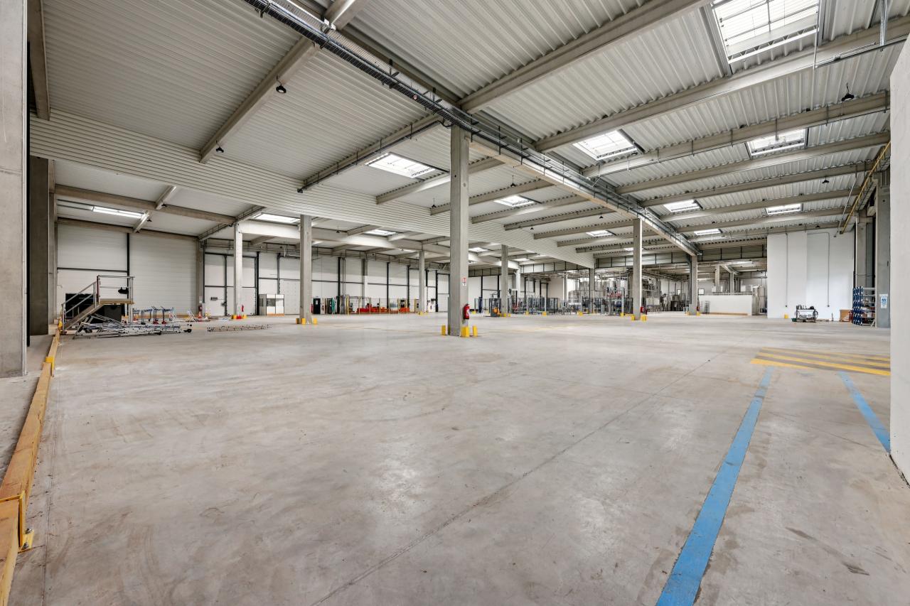 Location local d'activité Sucy-en-Brie Val-de-Marne OLACT2533681 12