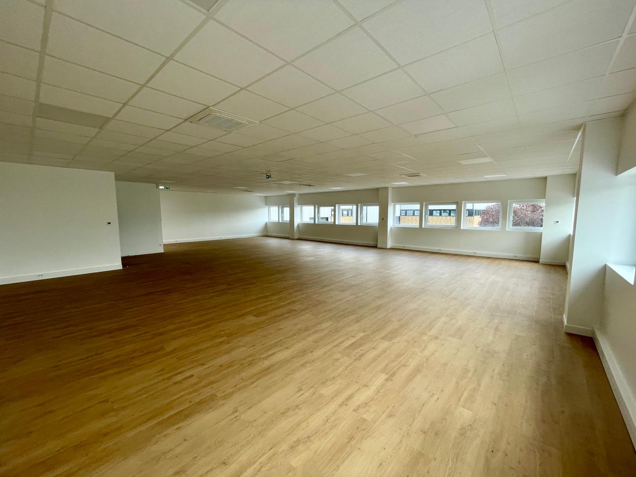 Location local d'activité Villeneuve-la-Garenne Hauts-de-Seine OLACT2535762 13
