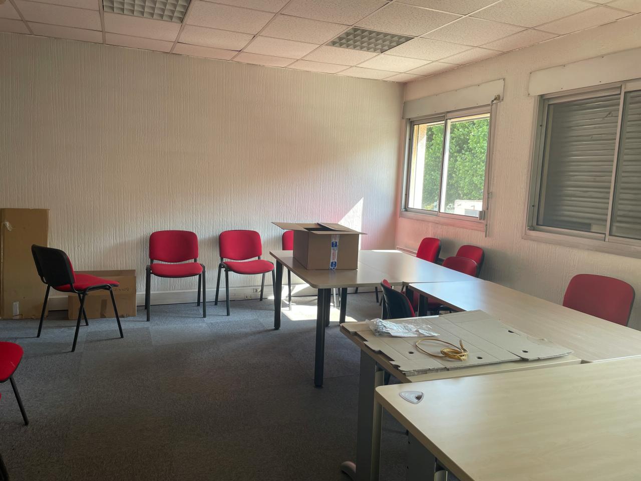 Location local d'activité Champagne-au-Mont-d'Or Rhône OLACT2533210 11