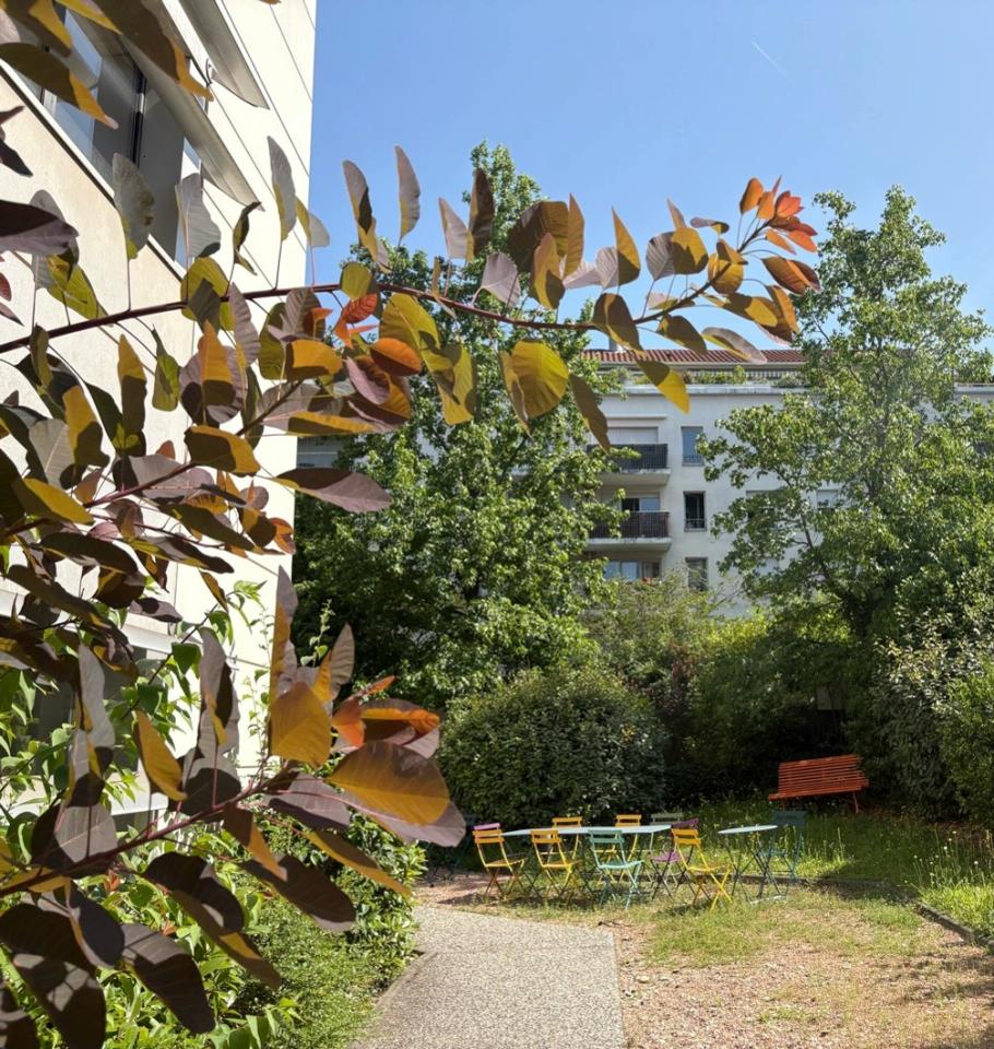 Location bureau Lyon Rhône OLBUR2310441 6