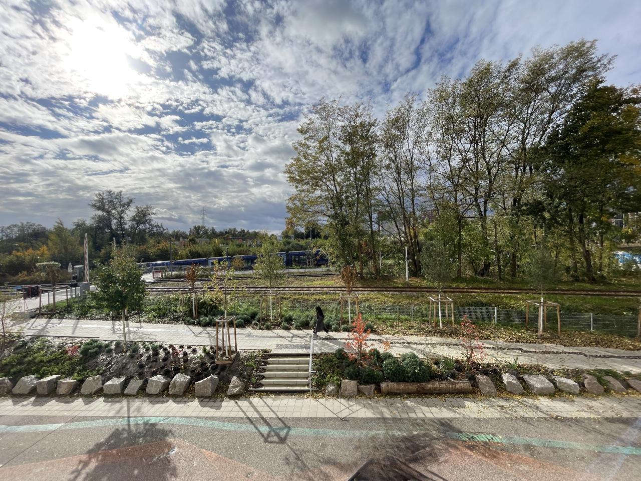 Location commerce Strasbourg Bas-Rhin OLCOM2531067 12