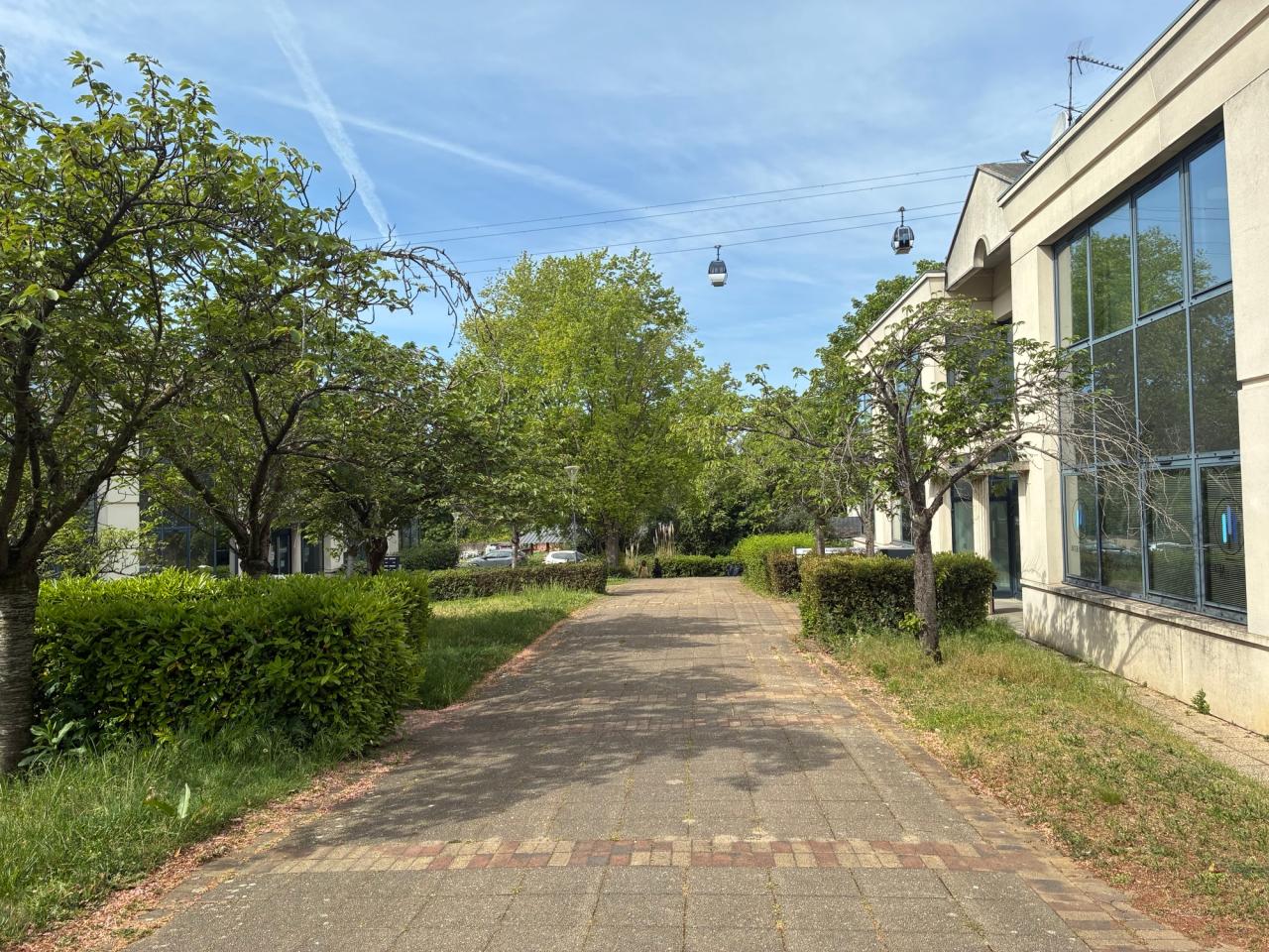 Location bureau Créteil Val-de-Marne OLBUR2206885 8