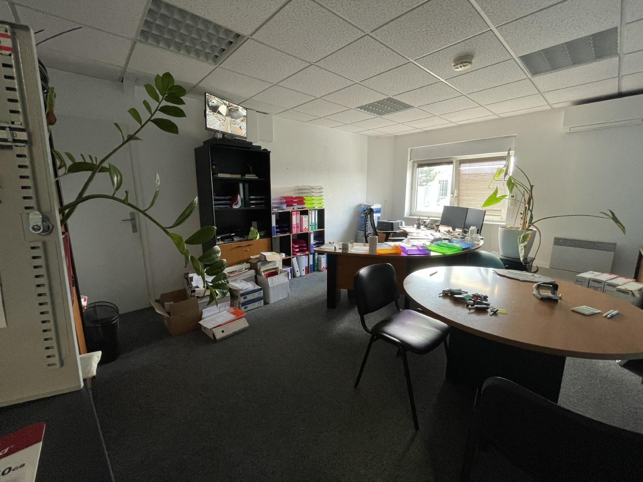 Vente local d'activité Mundolsheim Bas-Rhin OVACT2426874 14