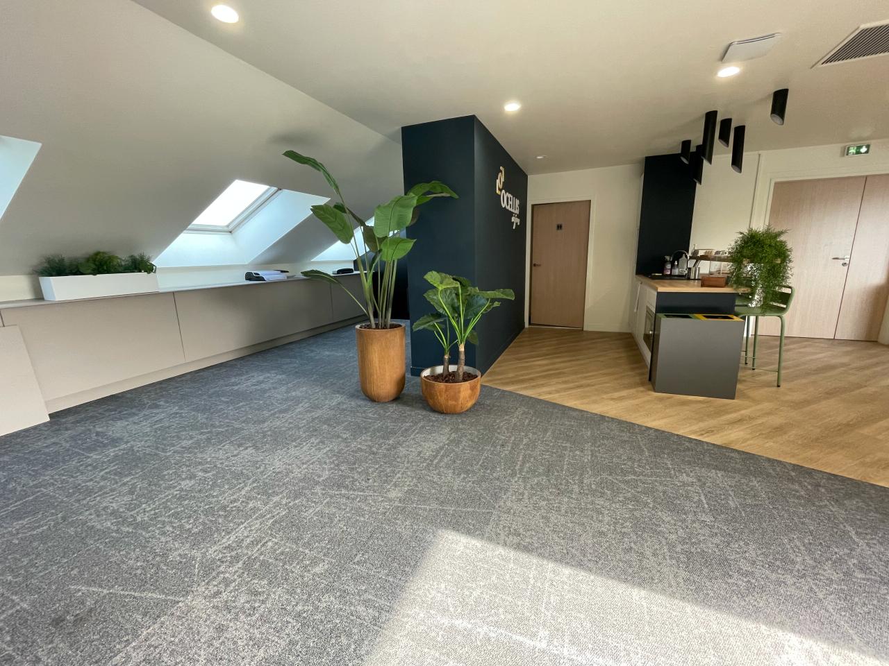 Location bureau Lyon Rhône OLBUR2424182 1