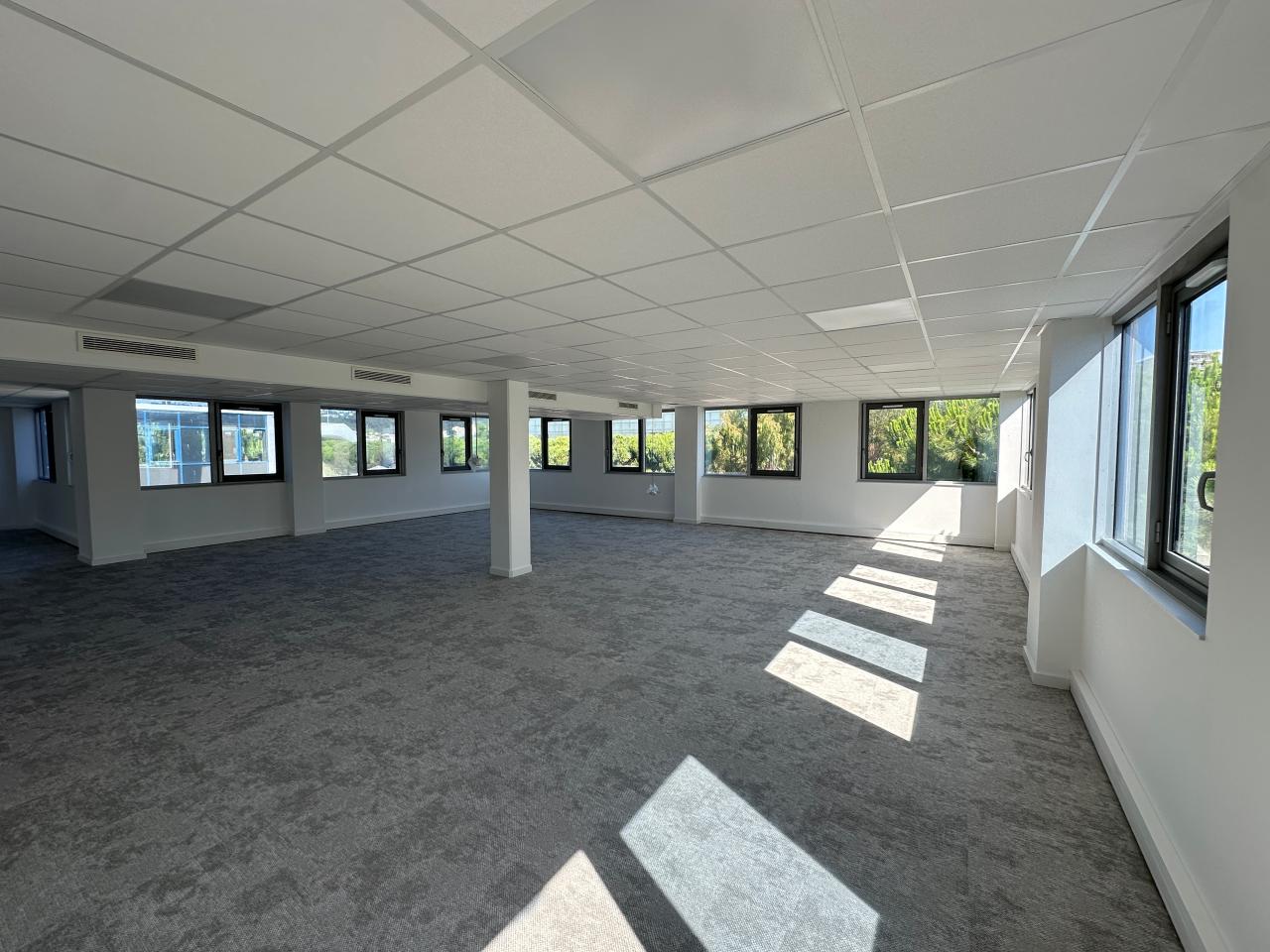 Location bureau Nice Alpes-Maritimes AOLBUR2424249_1 5