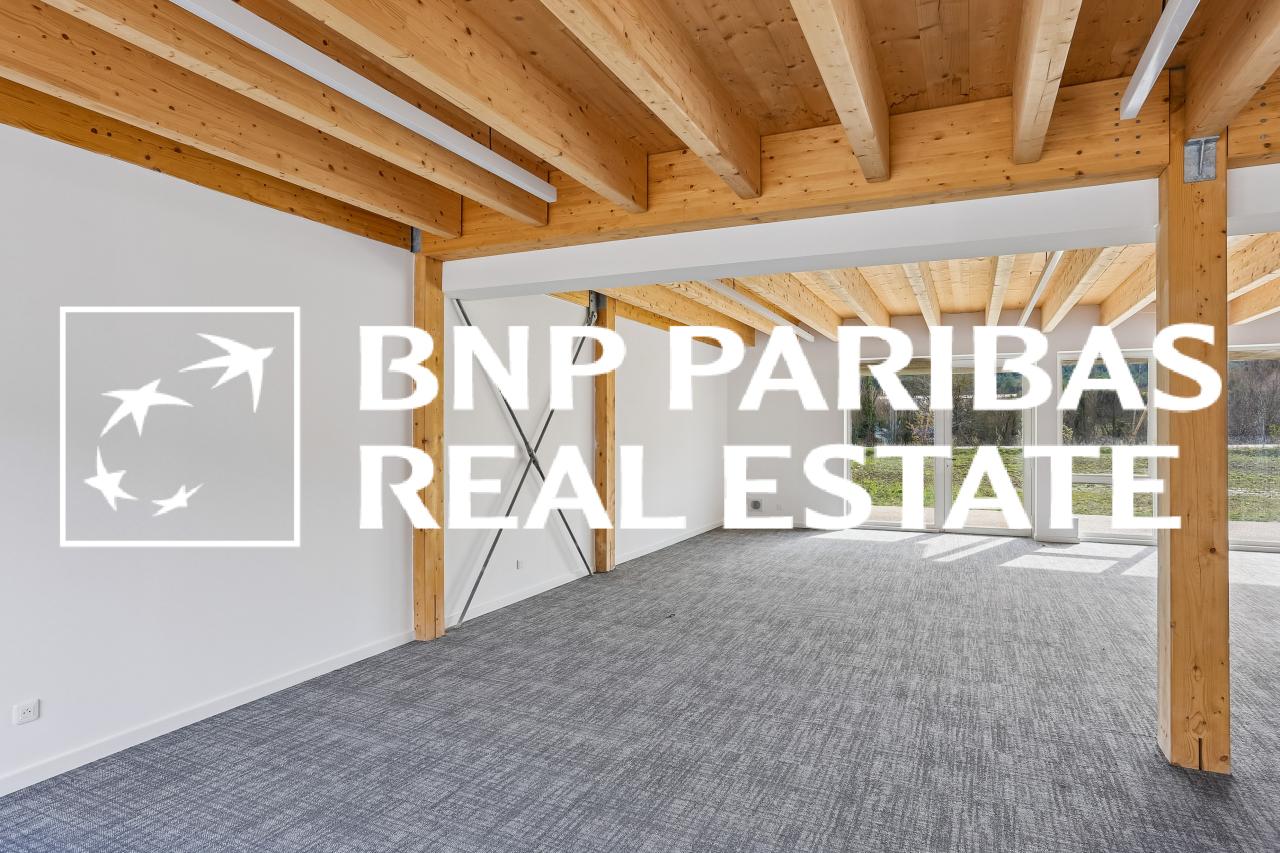 Location bureau OLBUR2313993 3