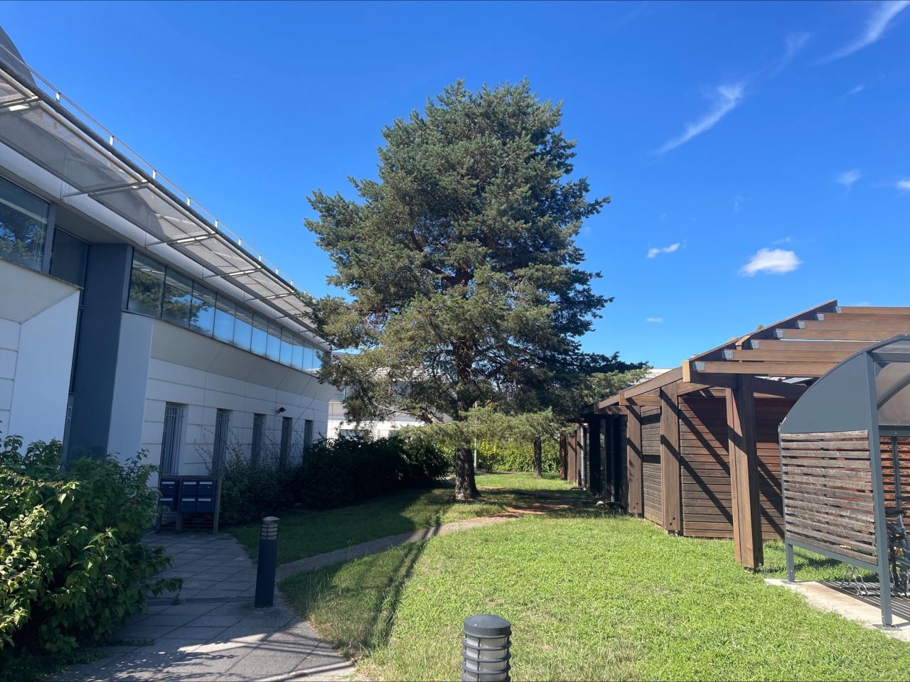 Location bureau Bron Rhône OLBUR2534551 8