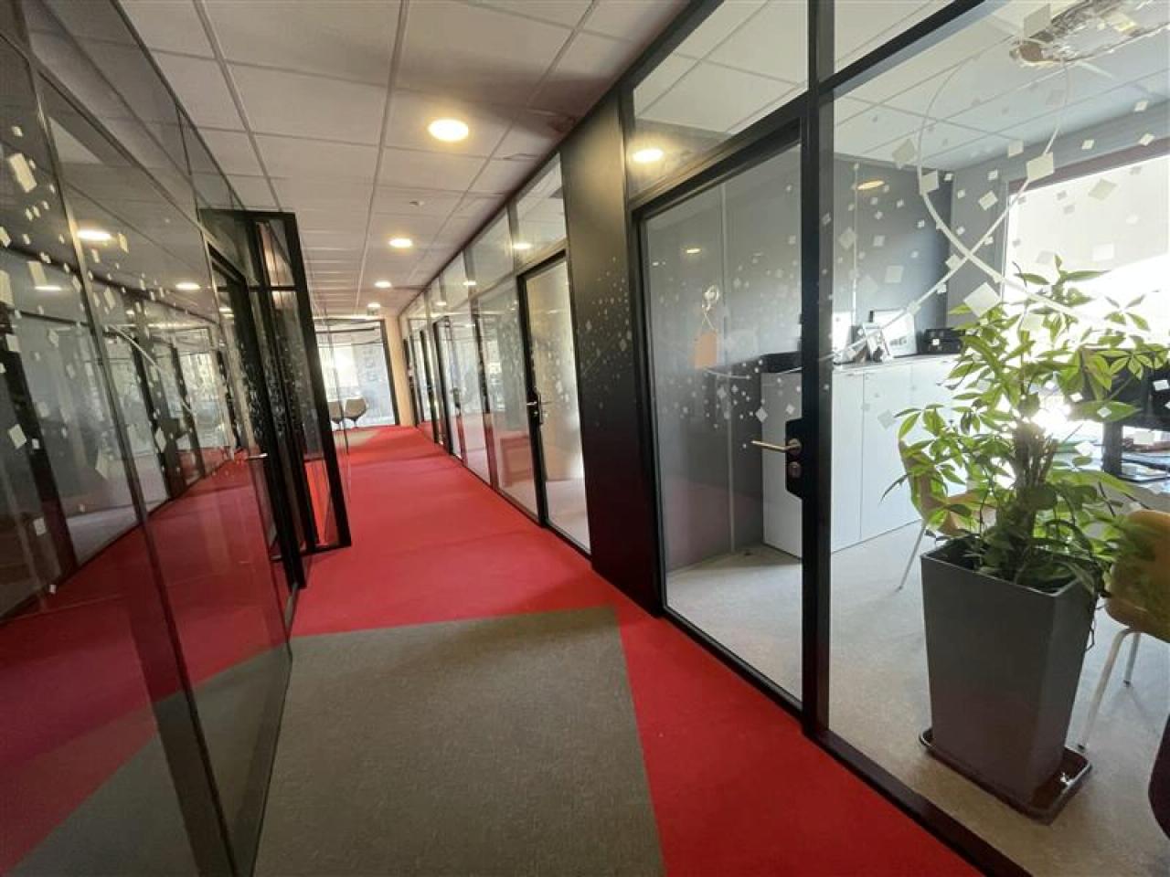 Location bureau Castelnau-le-Lez Hérault OLBUR2640830 8