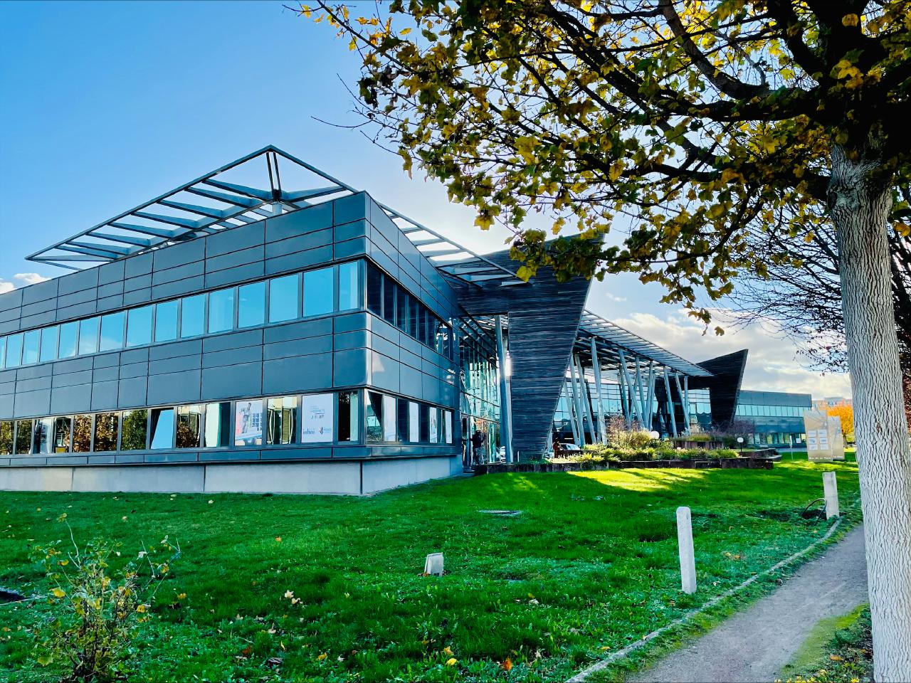 Location bureau Schiltigheim Bas-Rhin OLBUR2316913 1