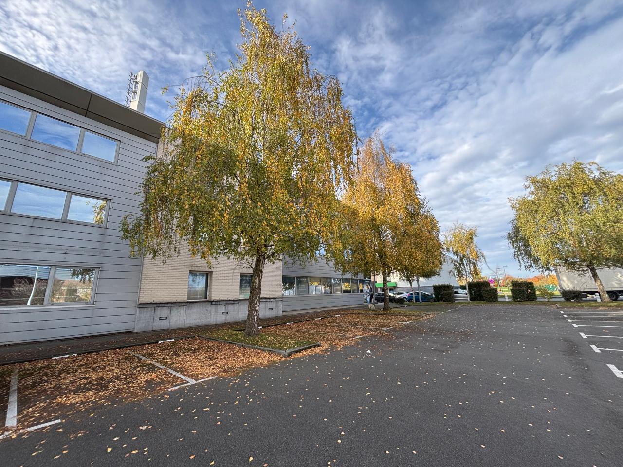 Location bureau Loos Nord OLBUR2536738 3