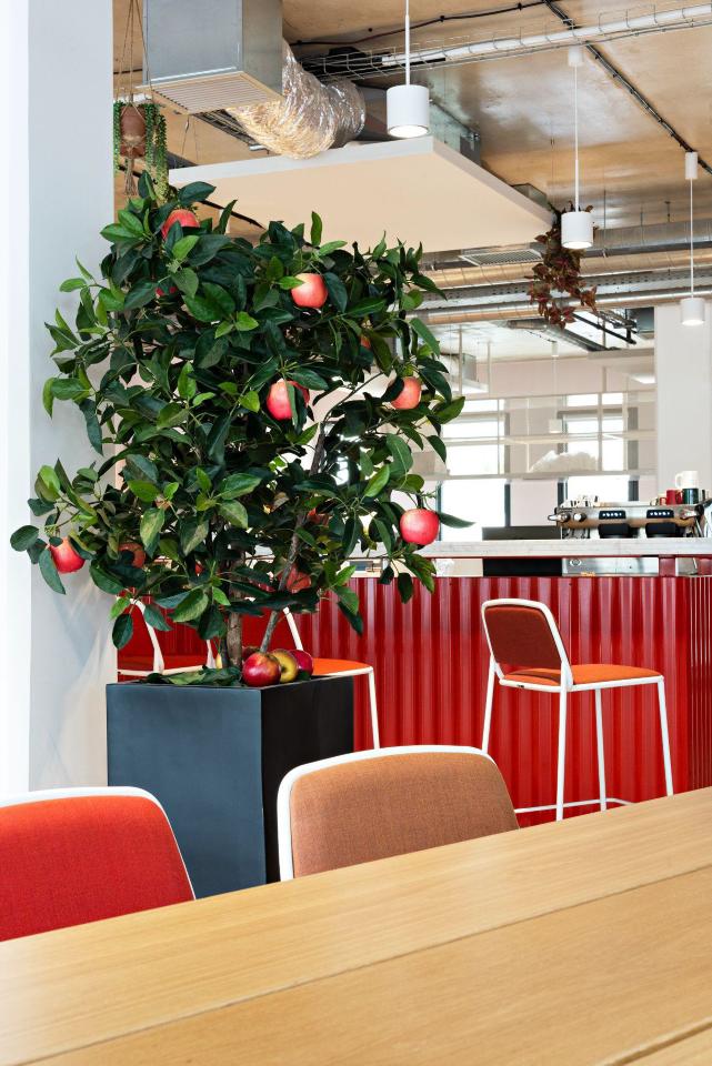 Location coworking Lyon Rhône OLBUR2318148 19