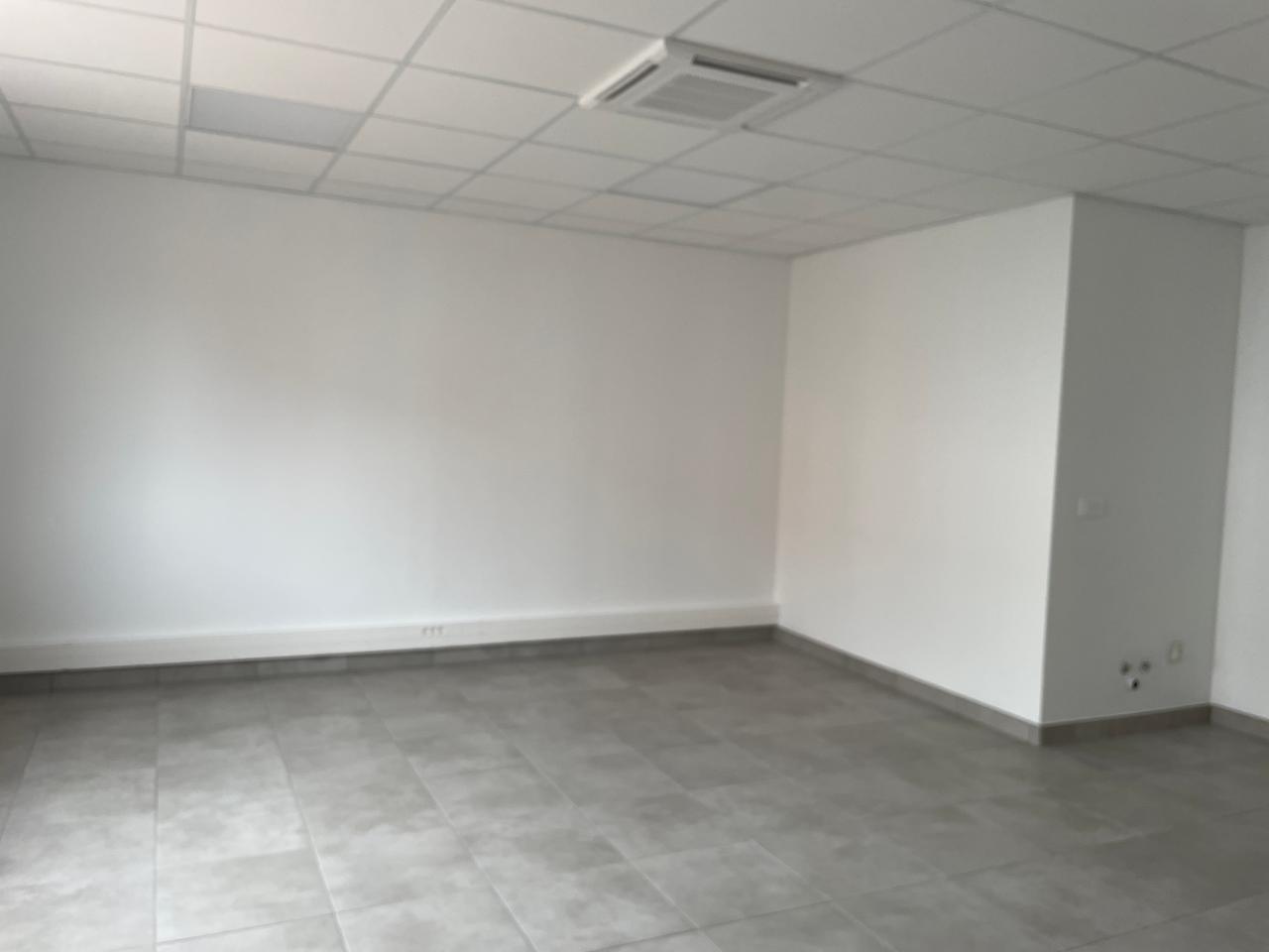 Location local d'activité Chassieu Rhône OLACT2529486 9