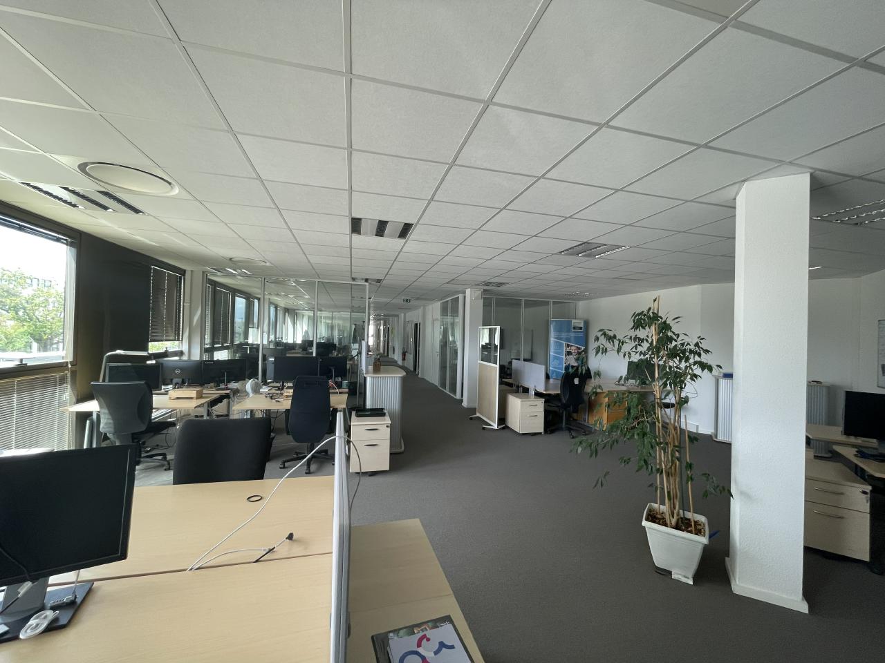 Location bureau Pessac Gironde OLBUR2422772 5