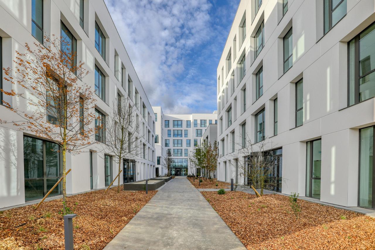 Location commerce Massy Essonne OLCOM2428422 7