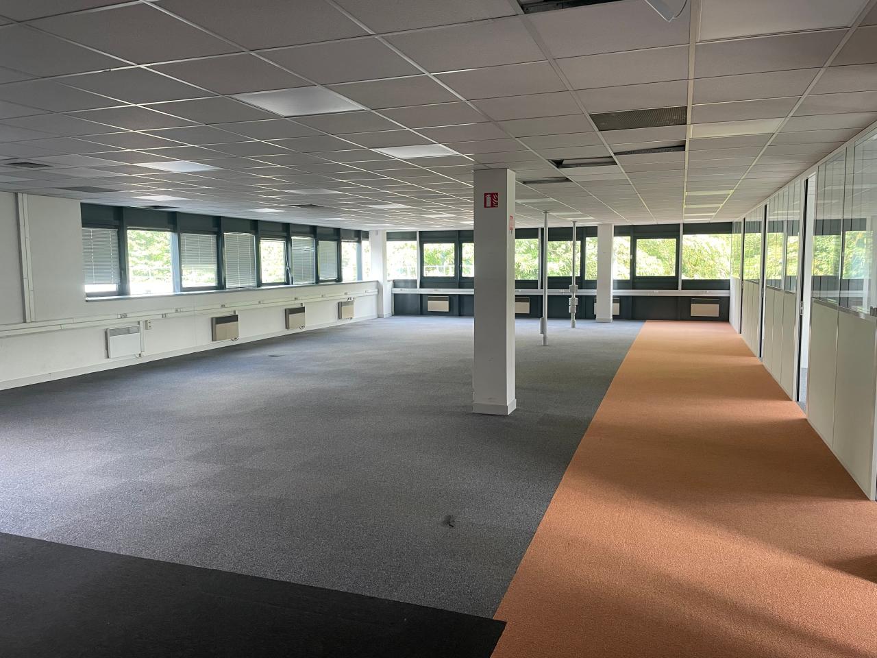 Location local d'activité Villebon-sur-Yvette Essonne OLACT2316553 6