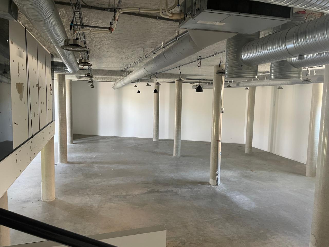 Location local d'activité Lyon Rhône OLACT2309614 14