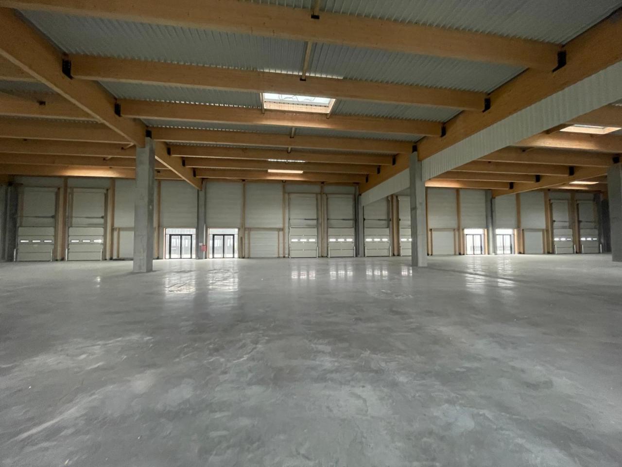 Location local d'activité Lezennes Nord OLACT2640284 9