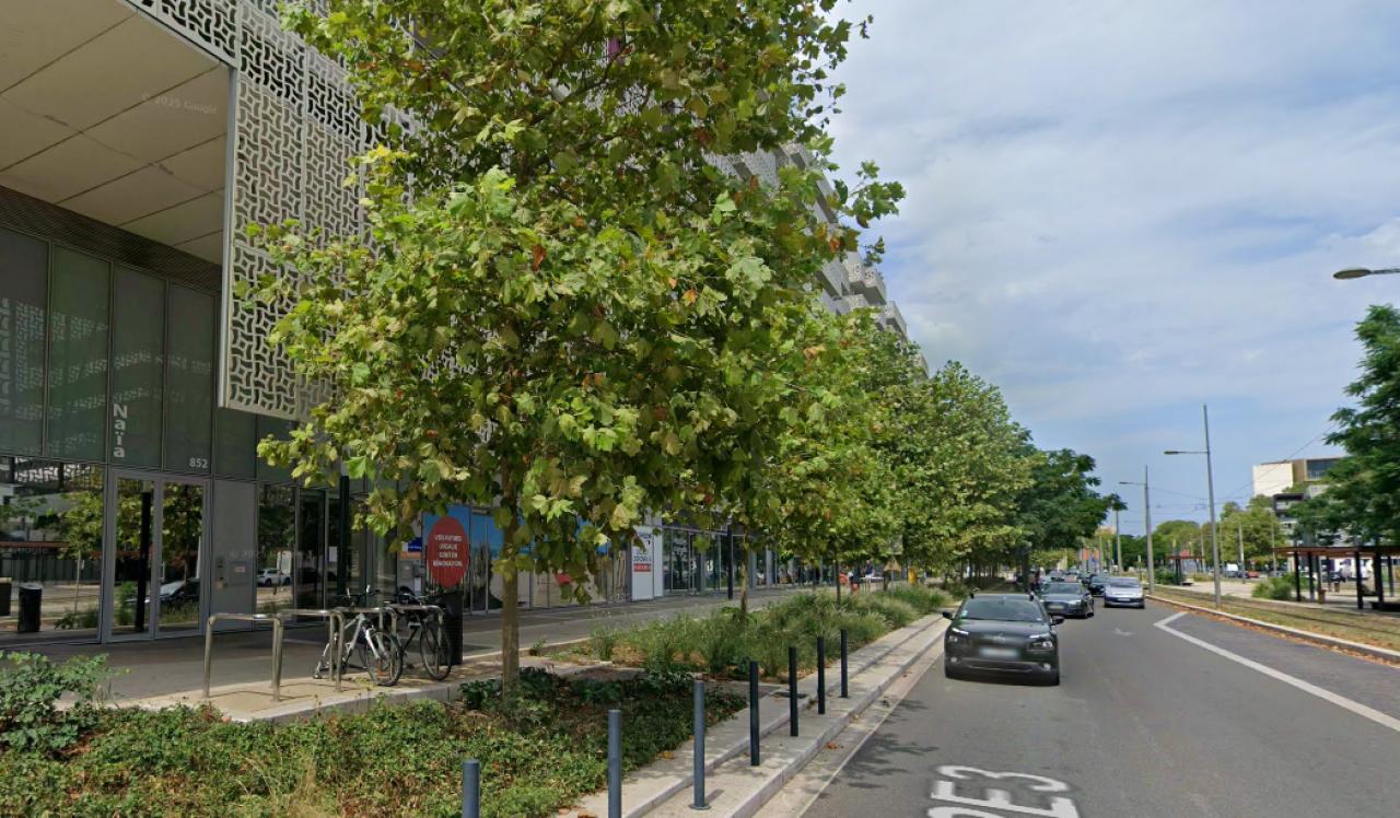 Location commerce Montpellier Hérault OLCOM2535189 7