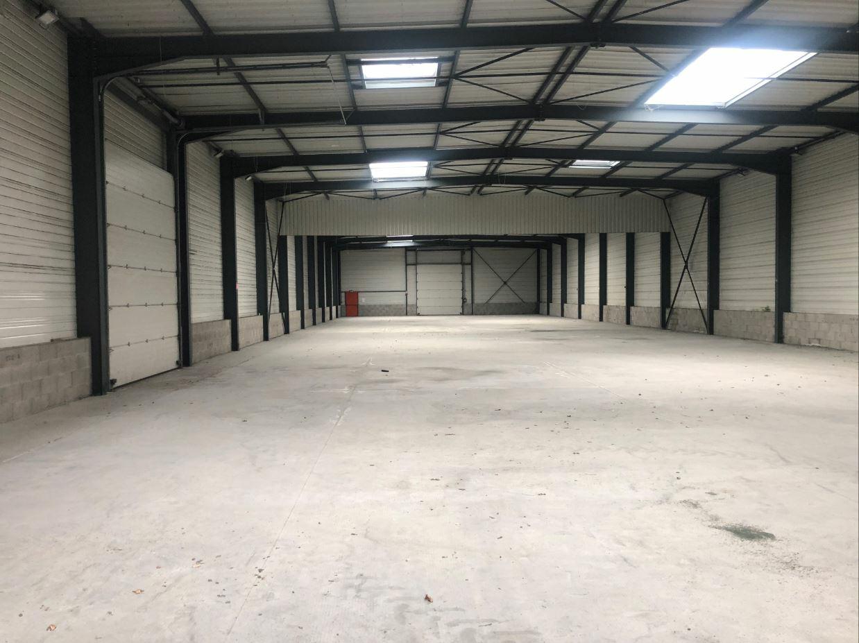 Location local d'activité Mions Rhône OLACT2530745 4