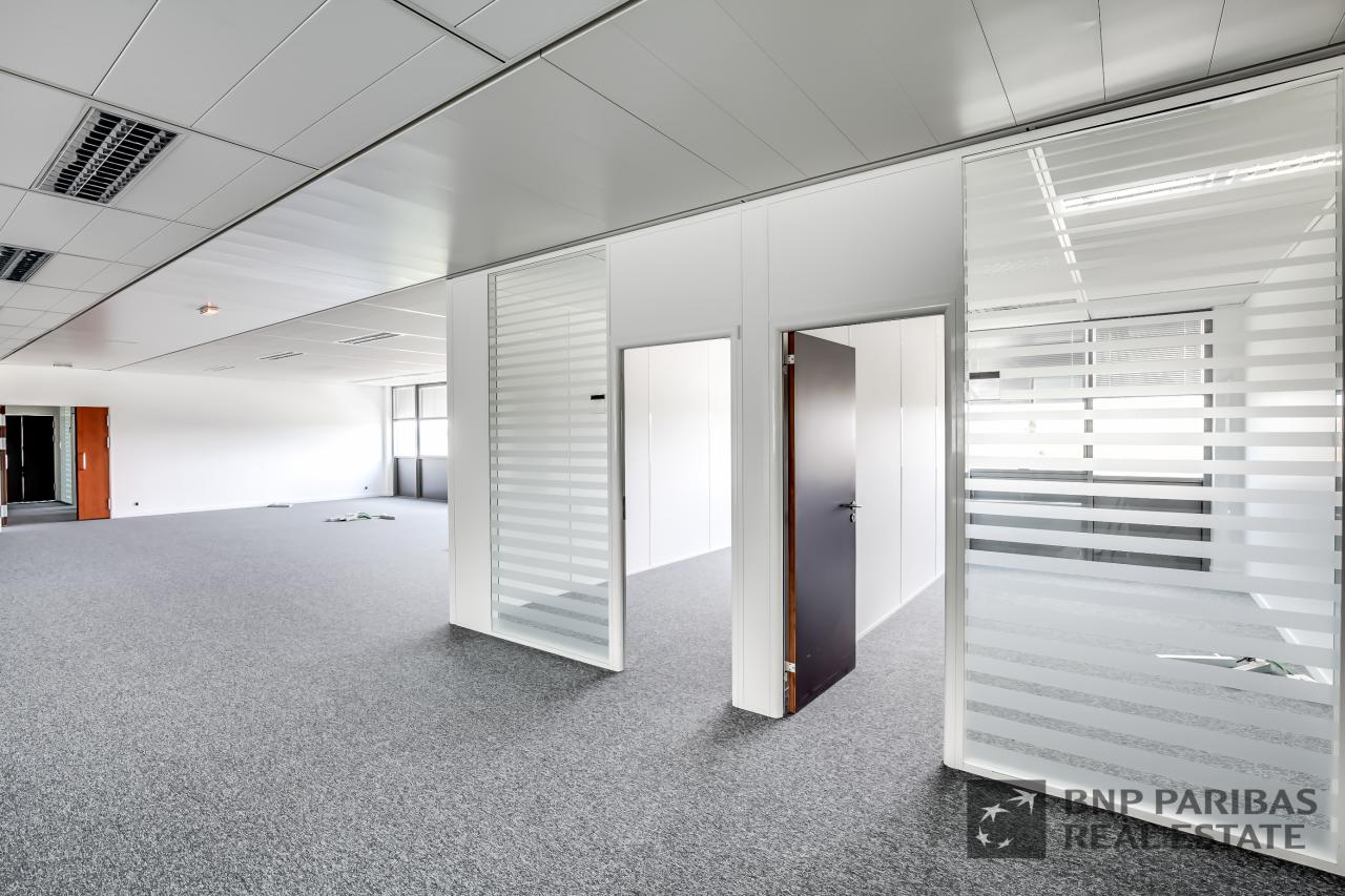 Location bureau OLBUR2103892 15