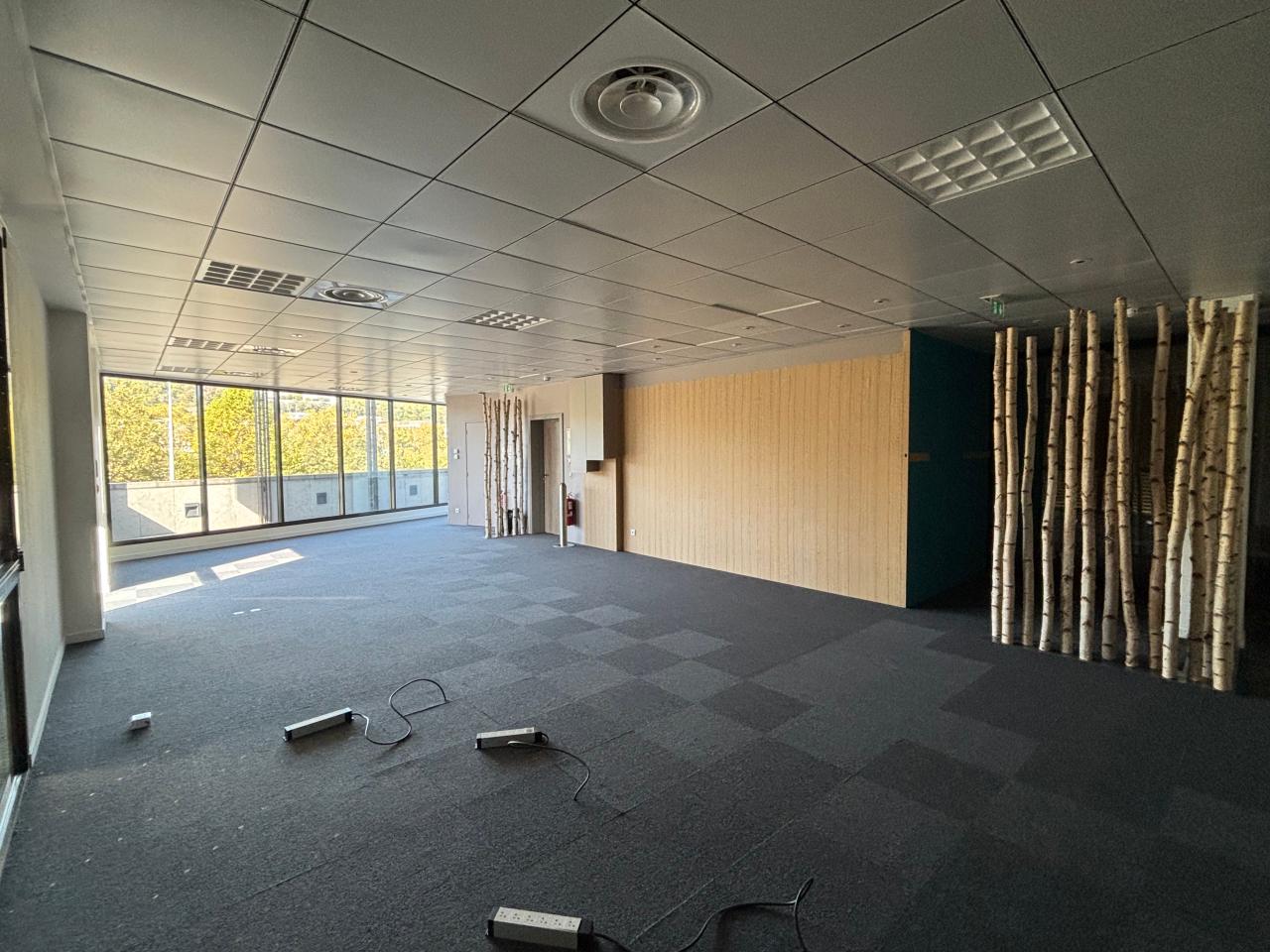 Location bureau Lyon Rhône OLBUR2420344 6