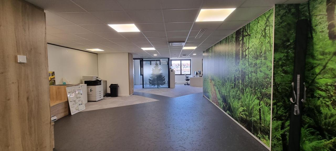 Location bureau Lyon Rhône OLBUR2533540 11